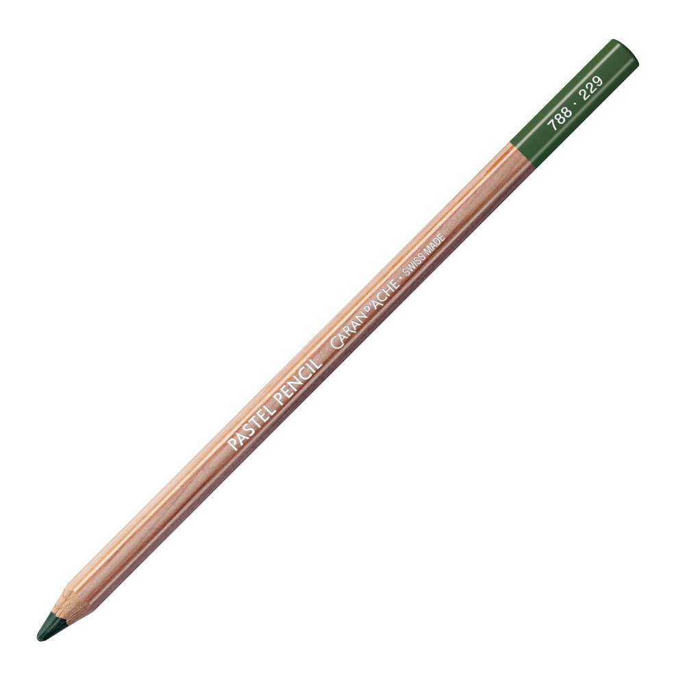 Dry Pastel Pencil - Caran d'Ache - 229, Dark Green