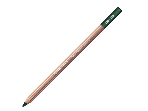 Dry Pastel Pencil - Caran d'Ache - 225, Moss Green