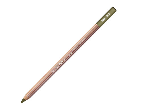 Dry Pastel Pencil - Caran d'Ache - 017, Light Reseda