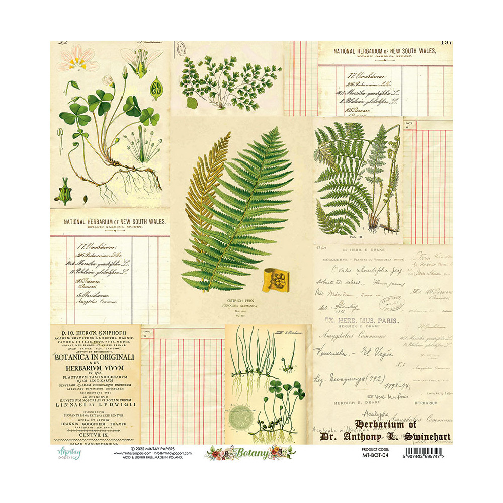 Papier do scrapbookingu 30,5 x 30,5 cm - Mintay - Botany 04