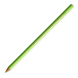 Artists' Colored Pencil - Holbein - 222, Lettuce Green