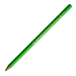 Artists' Colored Pencil - Holbein - 254, Evergreen