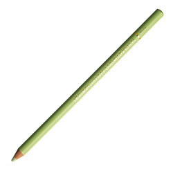 Artists' Colored Pencil - Holbein - 270, Willow Green