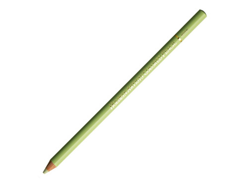 Artists' Colored Pencil - Holbein - 270, Willow Green