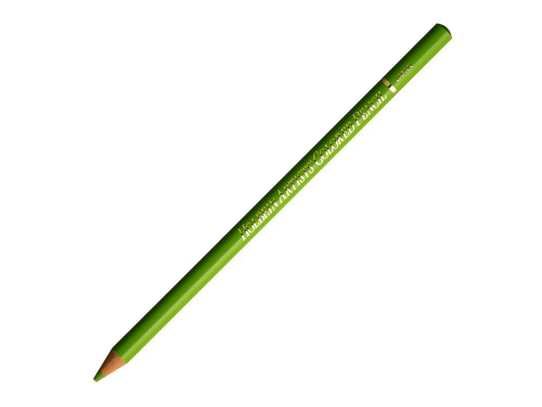 Artists' Colored Pencil - Holbein - 291, Leaf Green