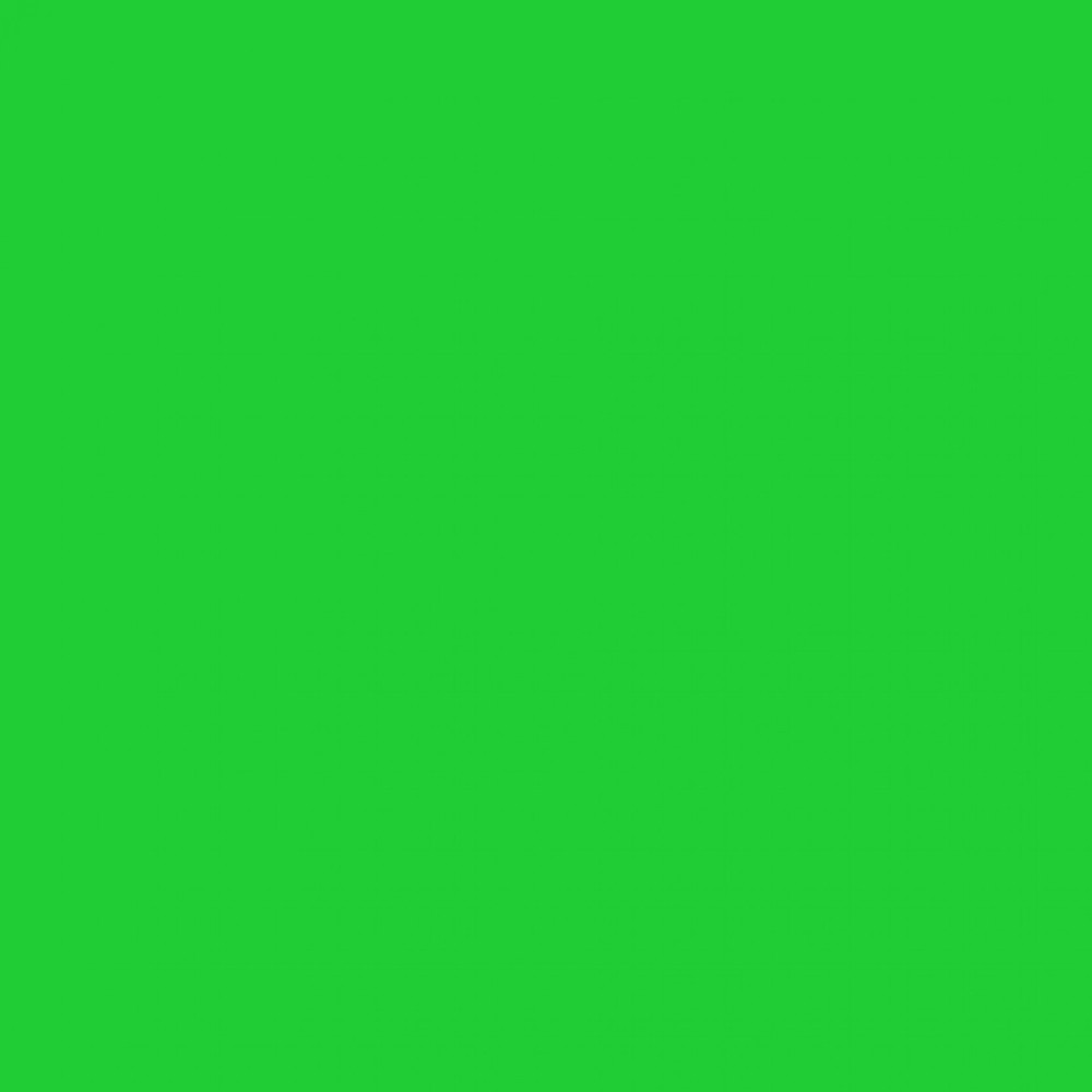 Setacolor Opaque paint for fabrics - Pébéo - Leaf Green, 45 ml