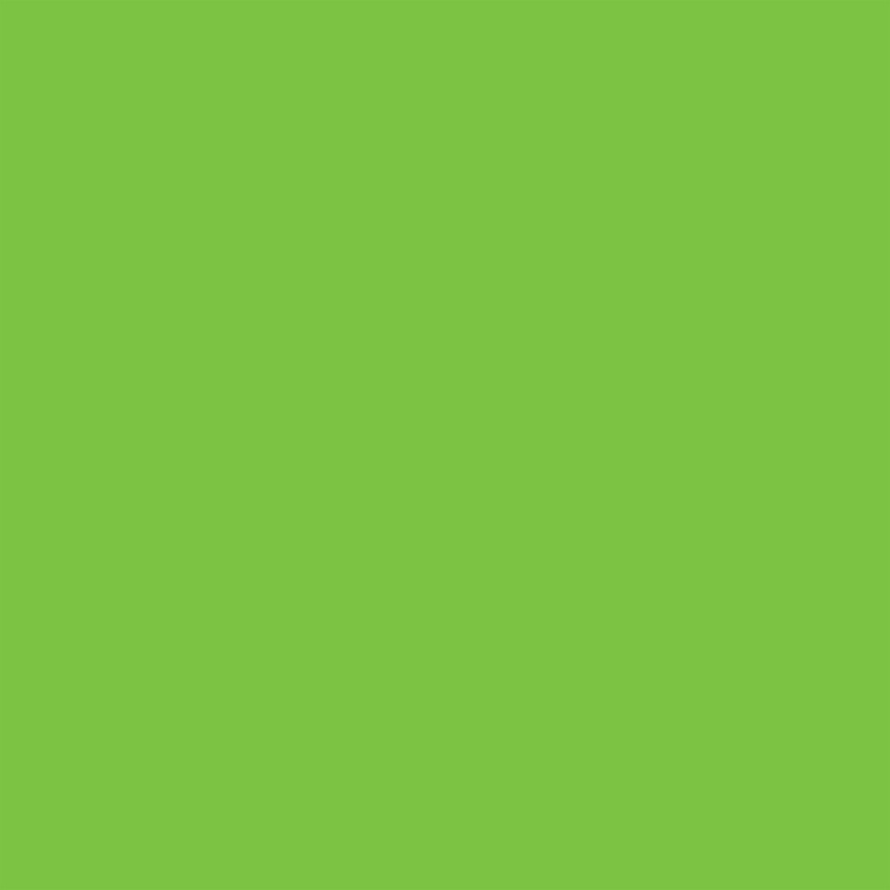 Promarker Brush - Winsor & Newton - Bright Green