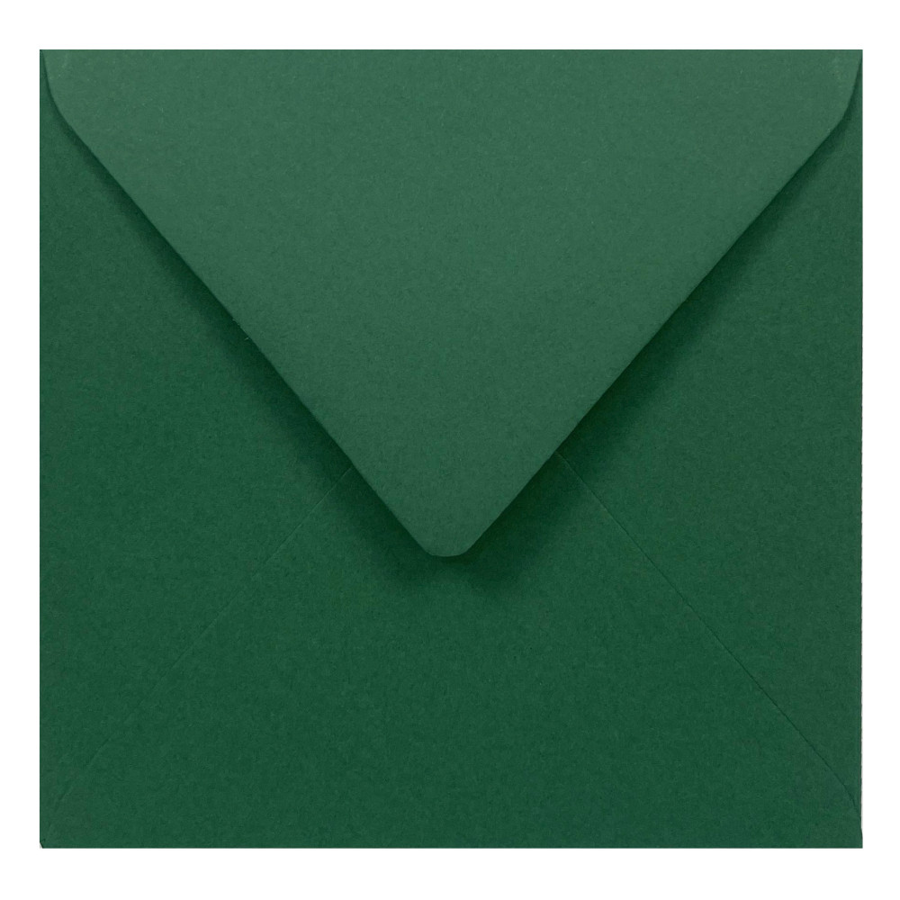 Pop'Set envelope 120g - K4, Cactus Green
