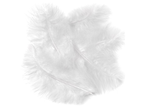 Decorative turkey feathers - DpCraft - white, 15 cm, 5 pcs.