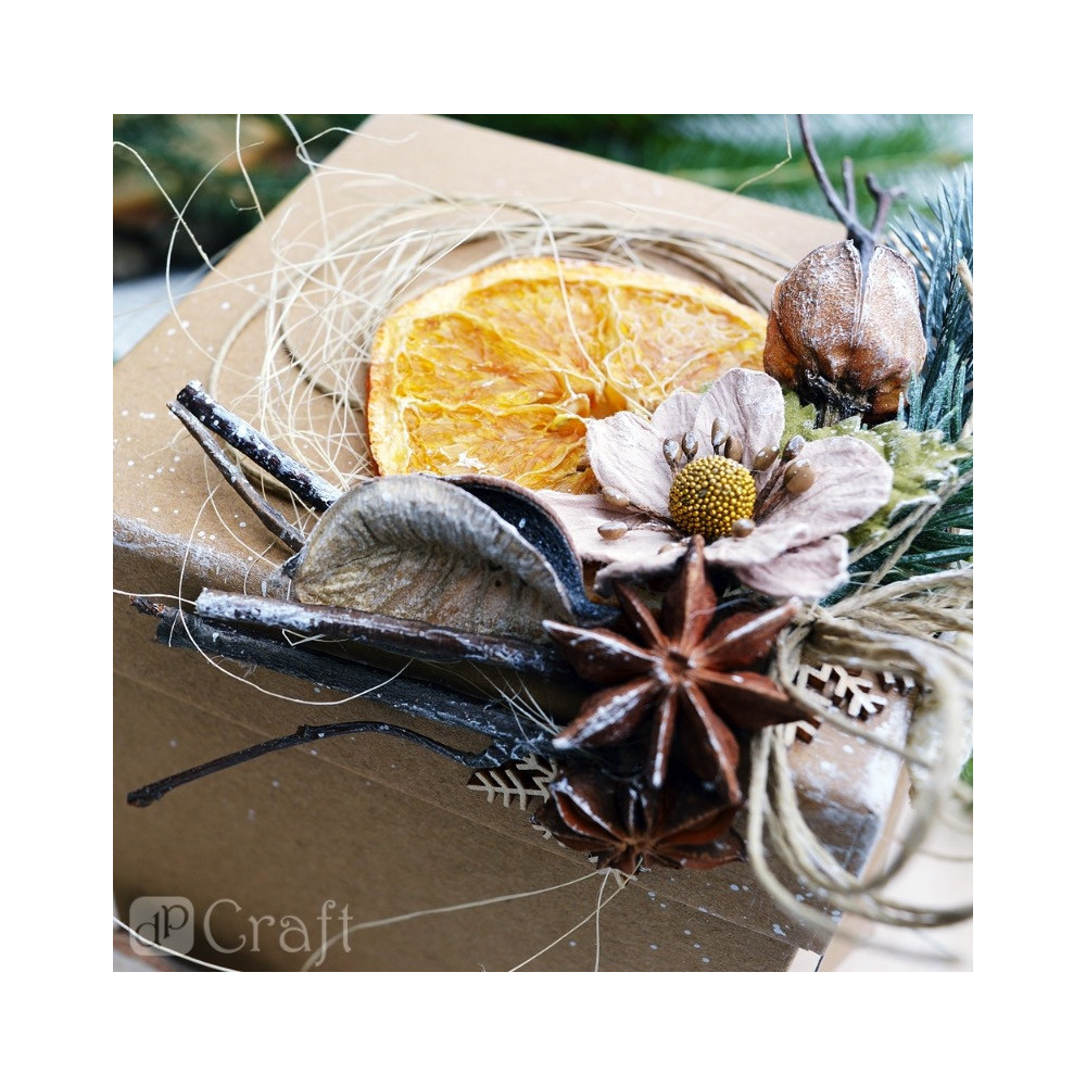 Dried star anise, decorative - 20 pcs.