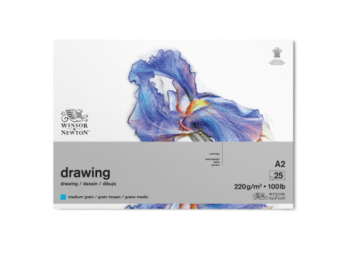 Blok rysunkowy Drawing Pad - Winsor & Newton - medium, A2, 220g, 25 ark.