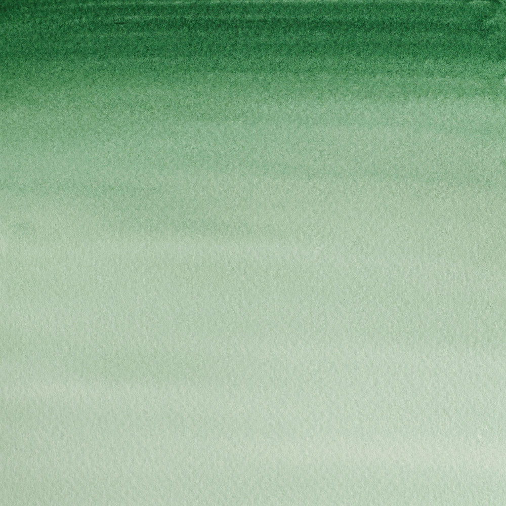 Cotman Watercolor Paint - Winsor & Newton - Hooker's Green Dark, 8 ml