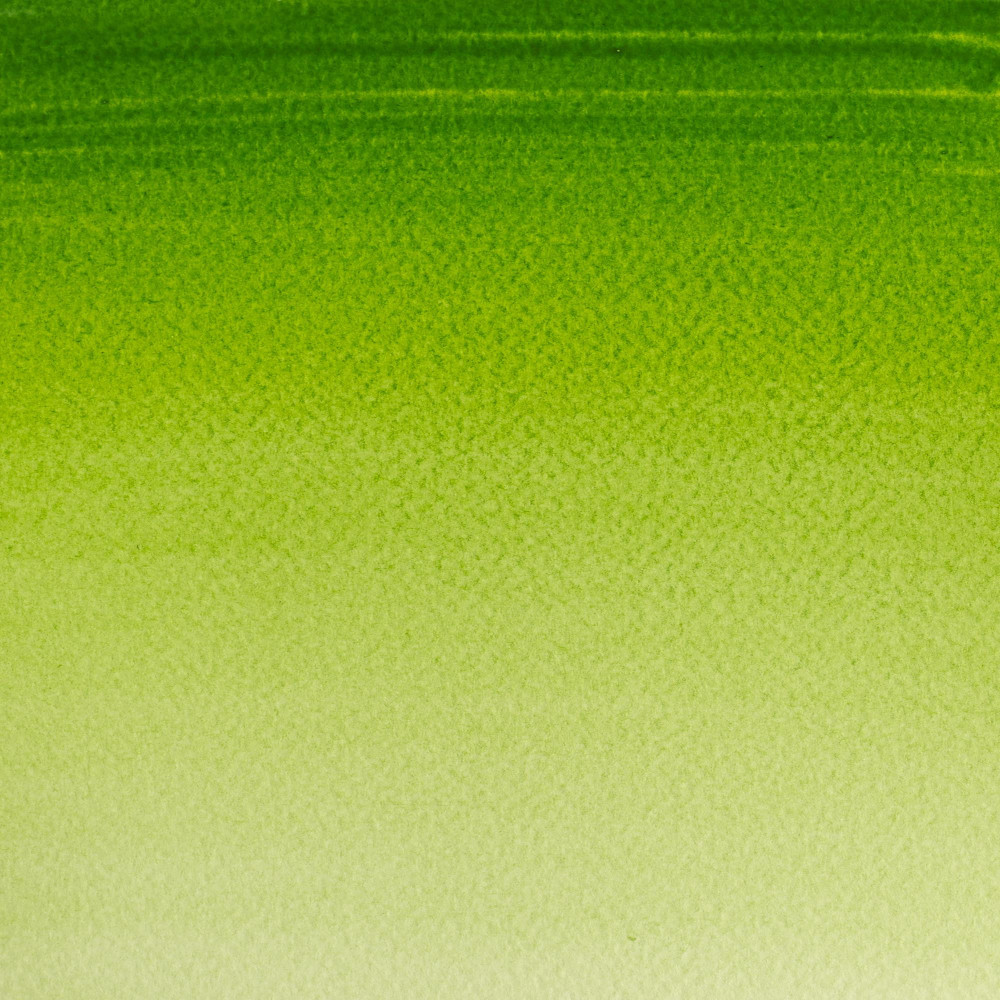 Cotman Watercolor Paint - Winsor & Newton - Sap Green, 8 ml