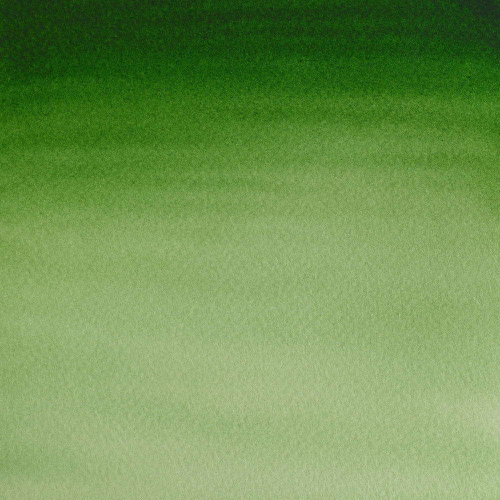 Cotman Watercolor Paint - Winsor & Newton - Hooker's Green Light, 8 ml