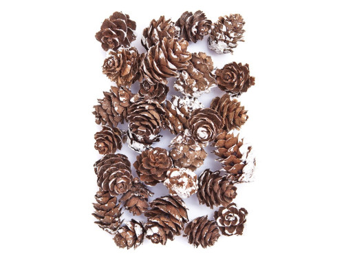 Mini szyszki bielone - DpCraft - 25 g