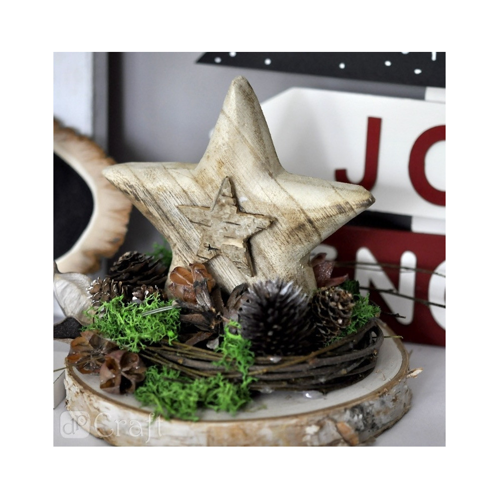 Decorative moss and natural elements - DpCraft - 30 g