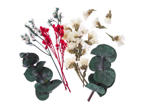 Dried decorative flowers - DpCraft - ecru/pink, 5-11 cm