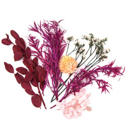 Dried decorative flowers - DpCraft - bordeaux/ pink, 5-11 cm