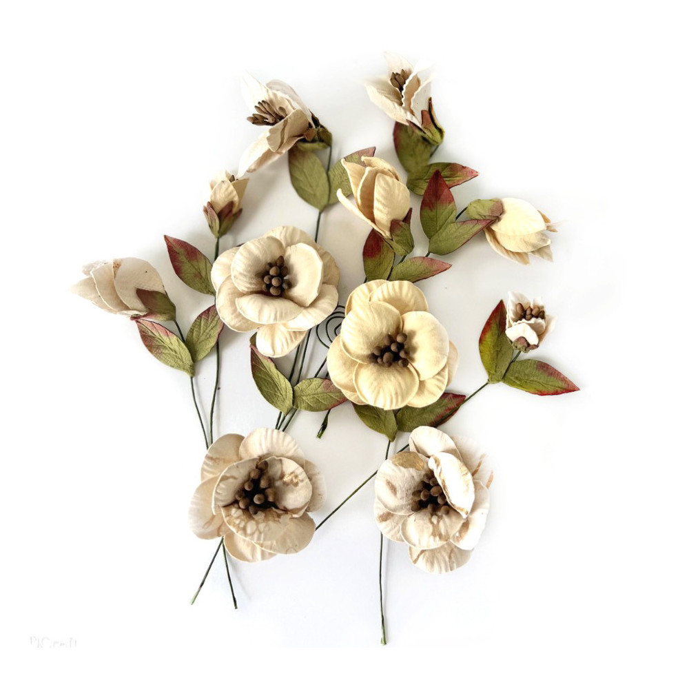 Paper flowers, Neutral - DpCraft - beige, 13 pcs.
