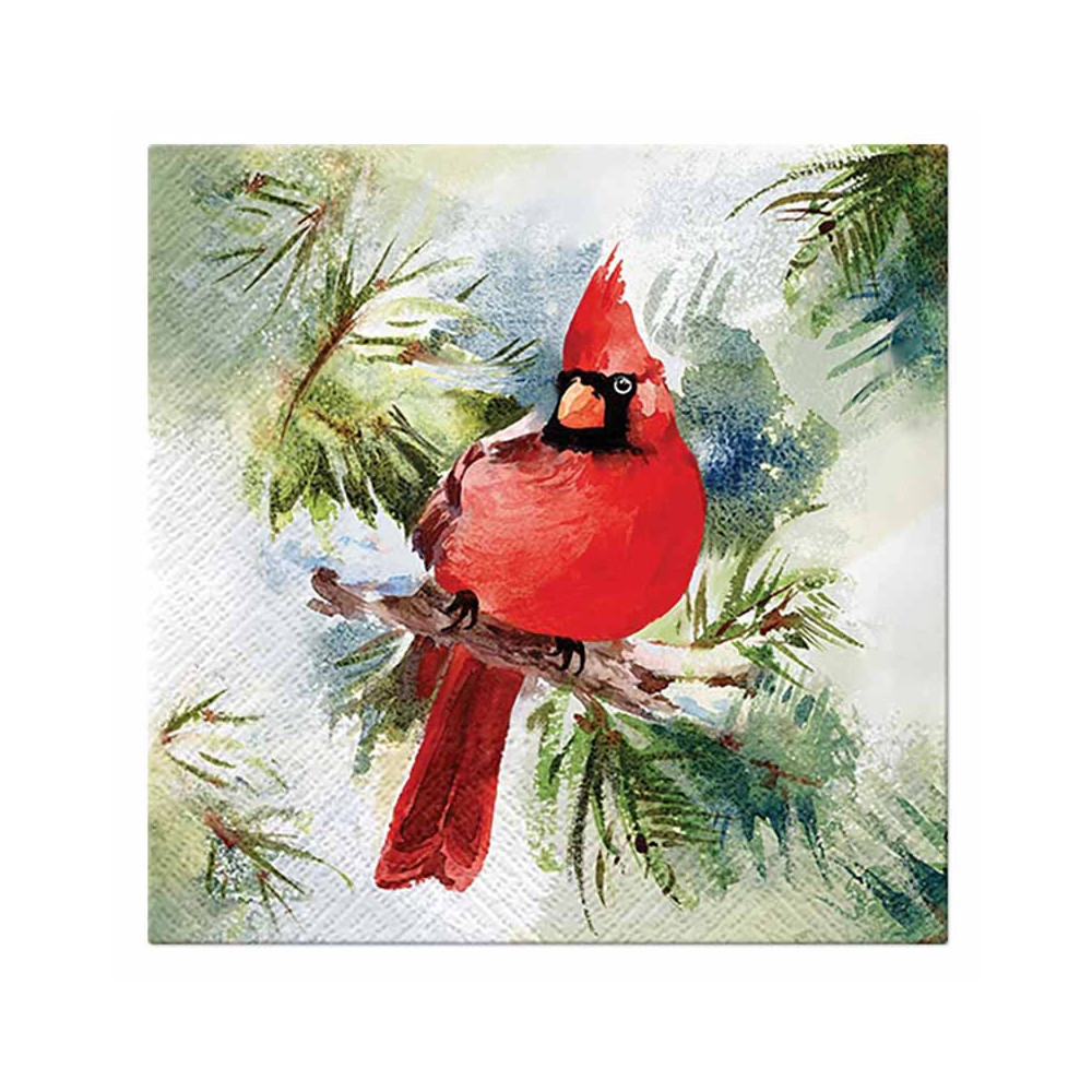Serwetki ozdobne - Paw - Winter Cardinal, 33 x 33 cm, 20 szt.
