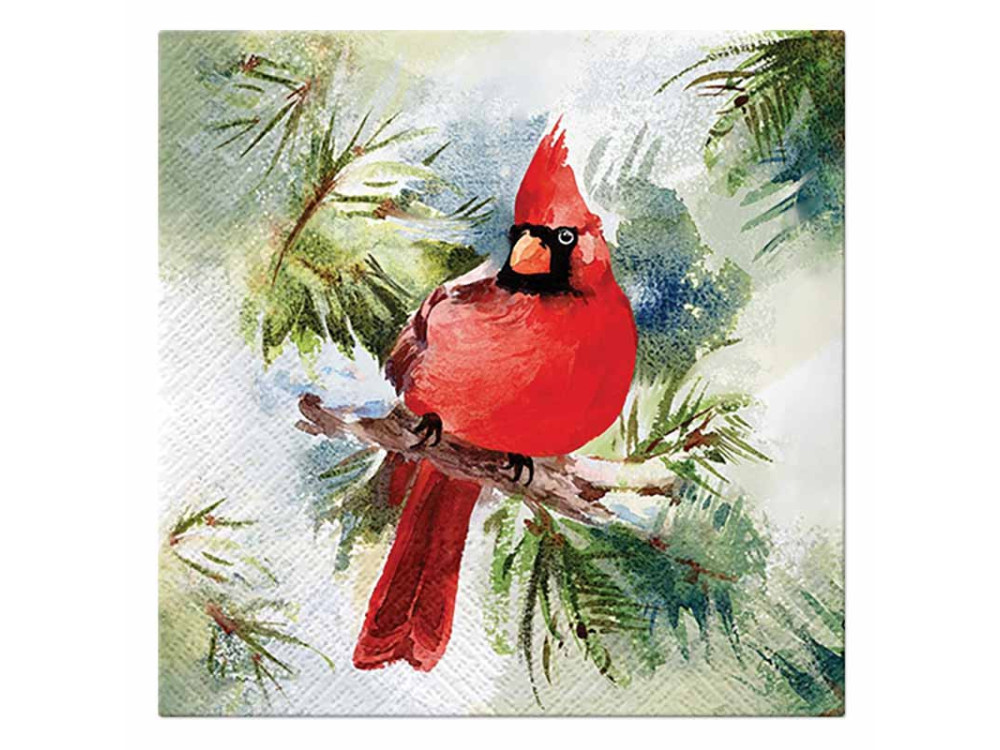 Decorative napkins - Paw - Winter Cardinal, 33 x 33 cm, 20 pcs.
