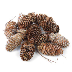 Pine cones with wires and glitter - silver, 12 pcs