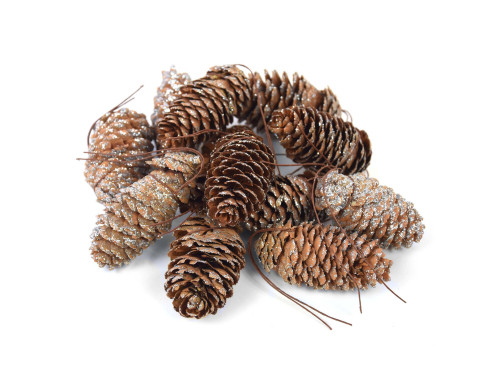 Pine cones with wires and glitter - silver, 12 pcs