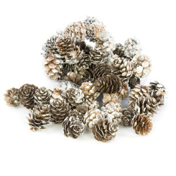 Decorative whitened cones - 3 cm, 27 pcs.