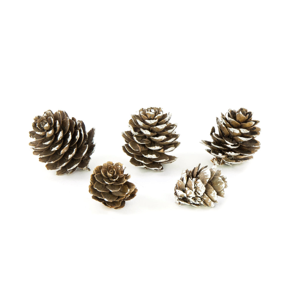 Decorative whitened cones - 3 cm, 27 pcs.