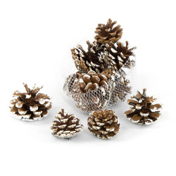 Decorative whitened cones -...