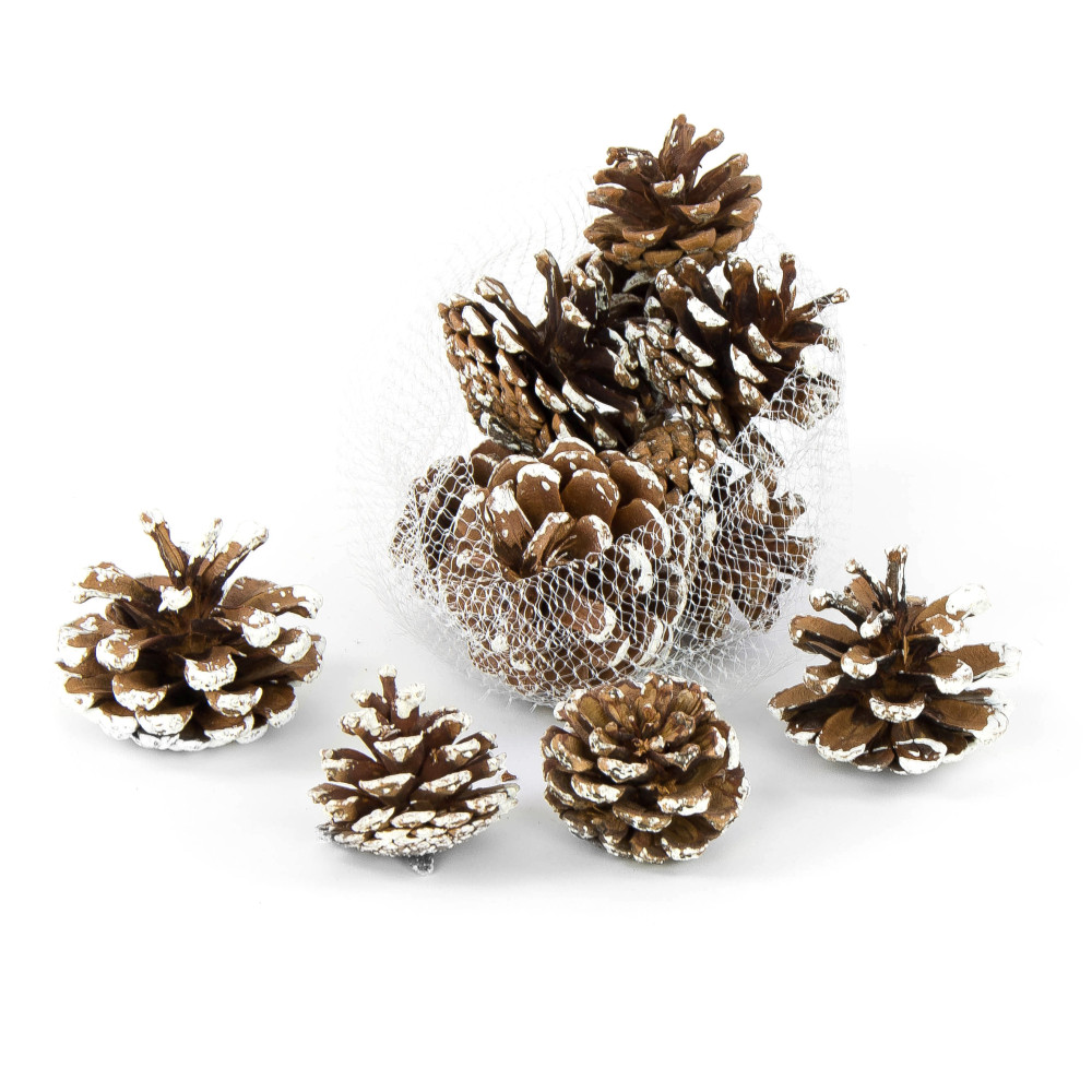 Decorative whitened cones - 5 cm, 12 pcs.