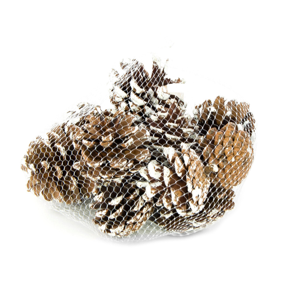 Decorative whitened cones - 5 cm, 12 pcs.