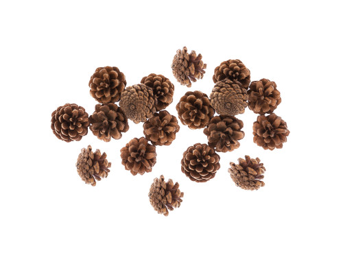 Szyszki naturalne - brązowe, 4 cm, 18 szt.