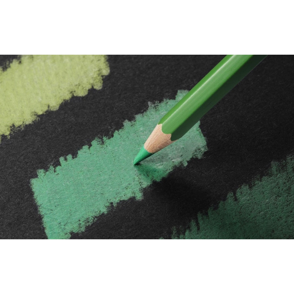 Pablo colored pencil - Caran d'Ache - 016, Khaki Green