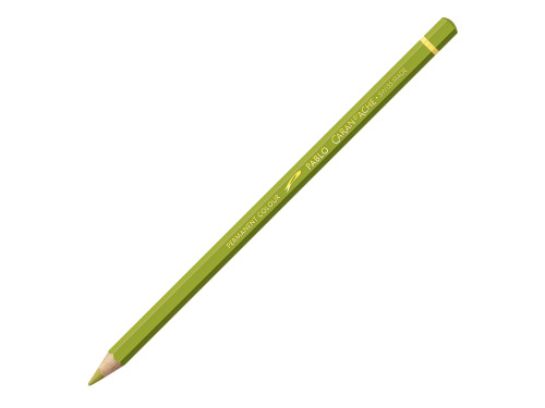 Pablo colored pencil - Caran d'Ache - 016, Khaki Green