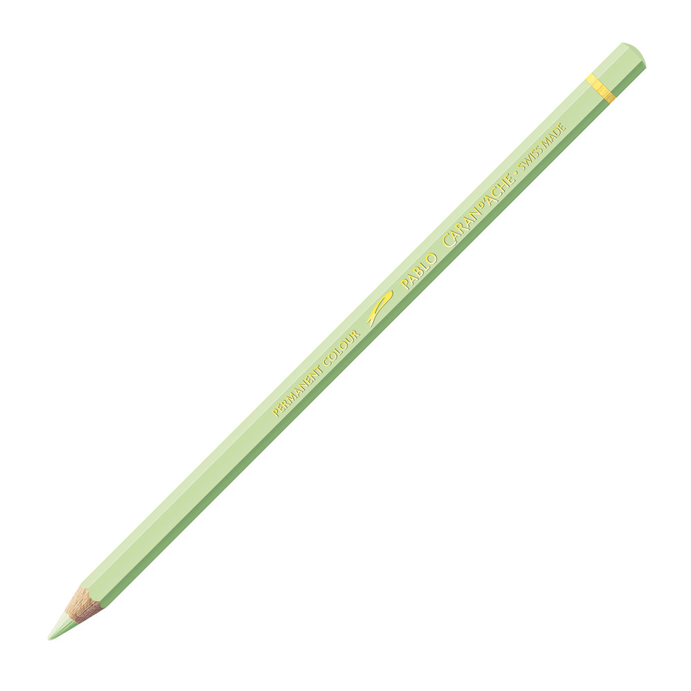 Caran d'Ache Coloring pencils Pablo 30-set