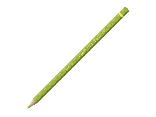 Pablo colored pencil - Caran d'Ache - 245, Light Olive