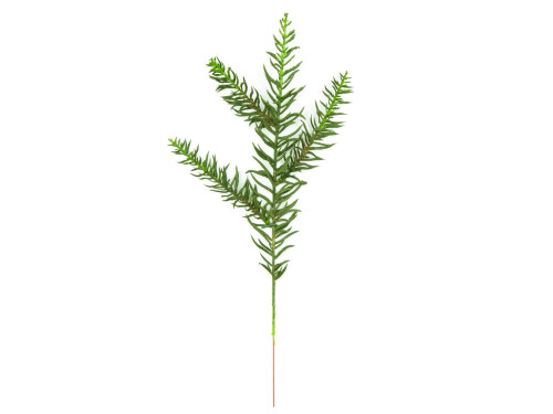 Christmas fir sprig - 38 cm