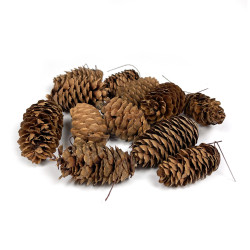 Pine cone with wire - 7 cm,...