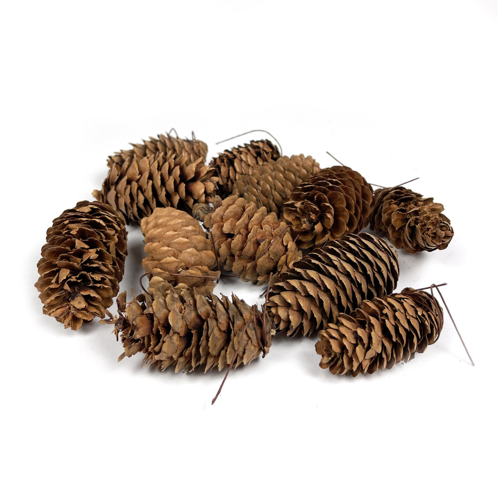 Pine cone with wire - 7 cm, 12 pcs.