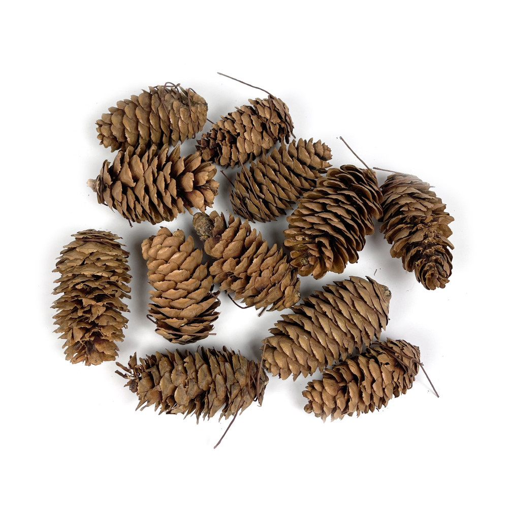 Pine cone with wire - 7 cm, 12 pcs.