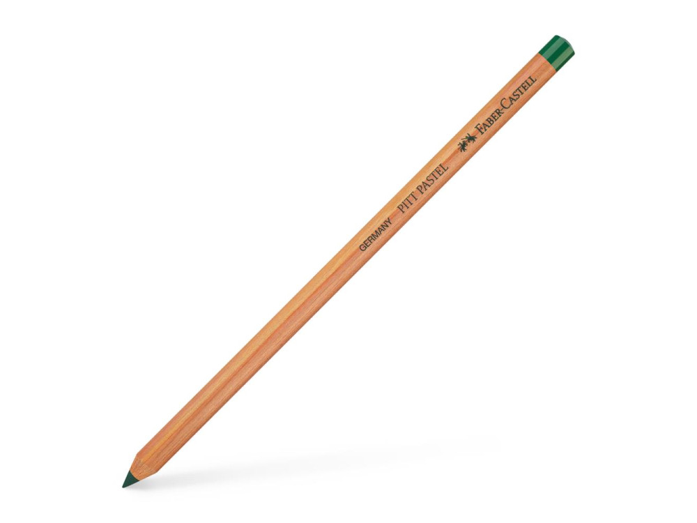 Pitt Pastel pencil - Faber-Castell - 165, Juniper Green