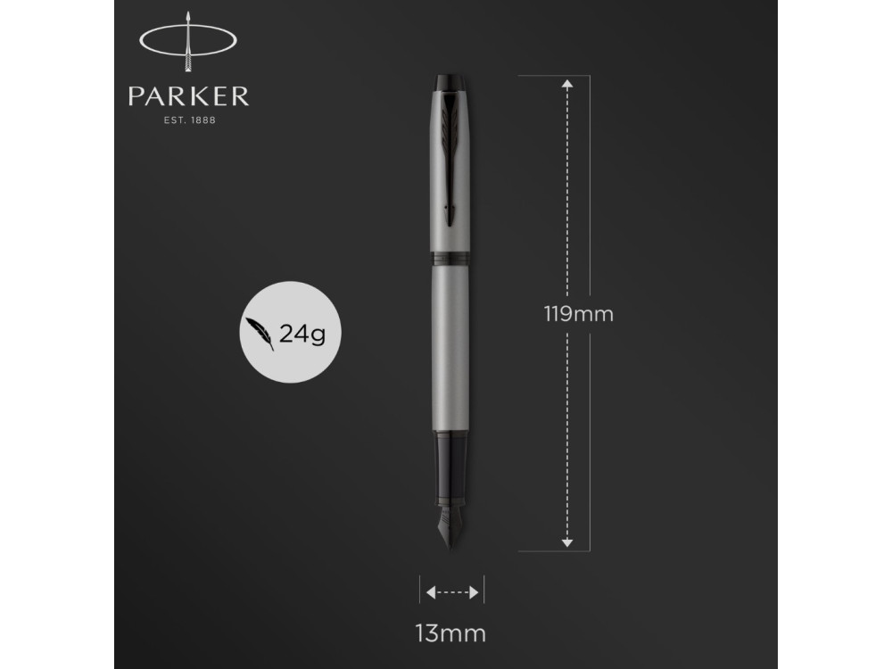 Fountain pen IM Achromatic - Parker - Grey, F