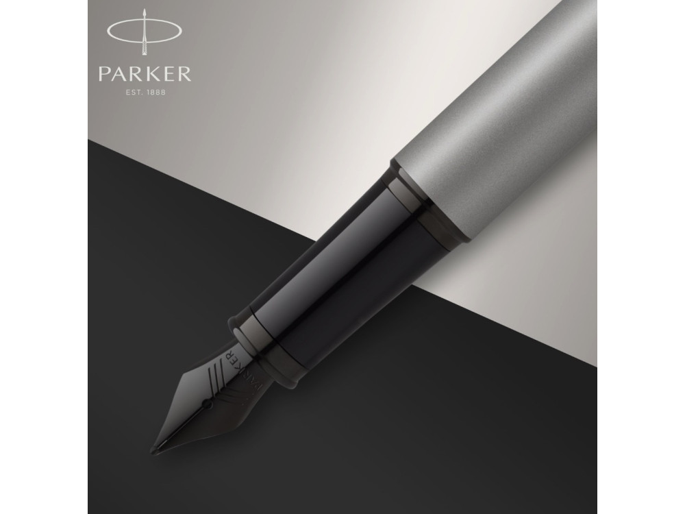 Fountain pen IM Achromatic - Parker - Grey, F