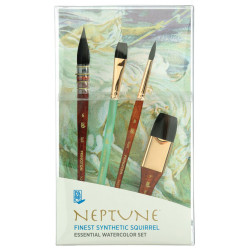 Set of synthetic Neptune Box brushes - Princeton - 4 pcs.