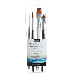 Set of synthetic Aqua Elite brushes - Princeton - 4 pcs.