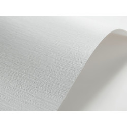 Papier Elfenbens 185g - Tkanina lniana (203) biały A4