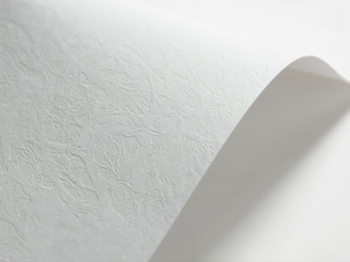 Papier Elfenbens 246g - Skóra (134) biały A4