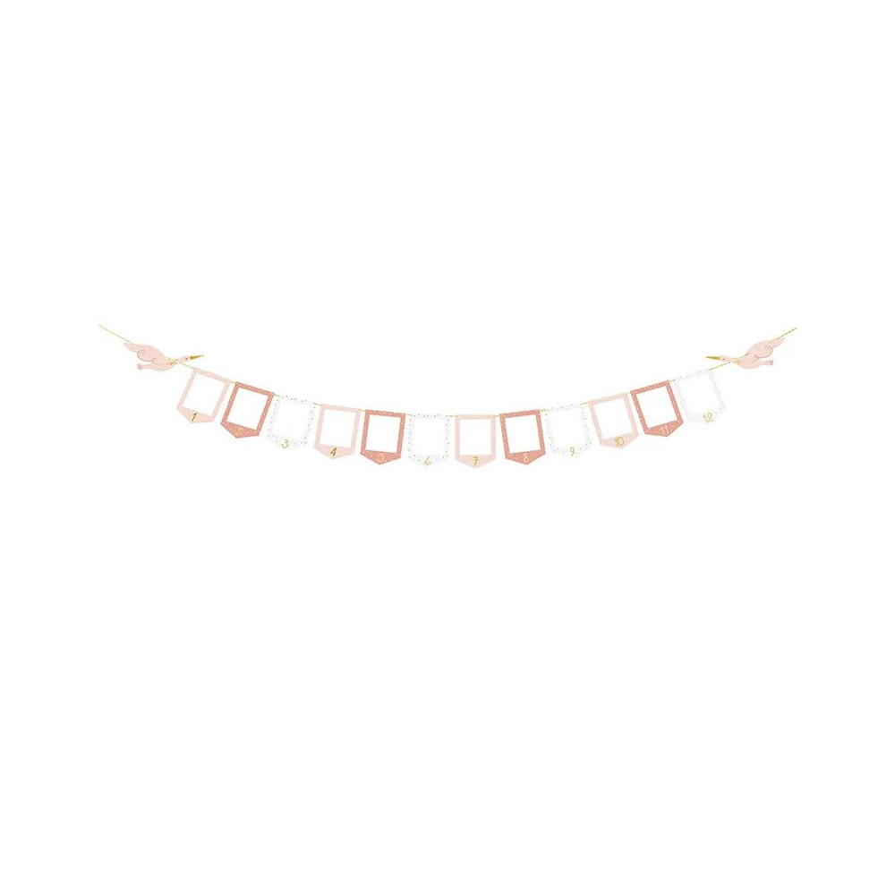 Photo frame Garland, Stork - pink, 15 cm x 3 m