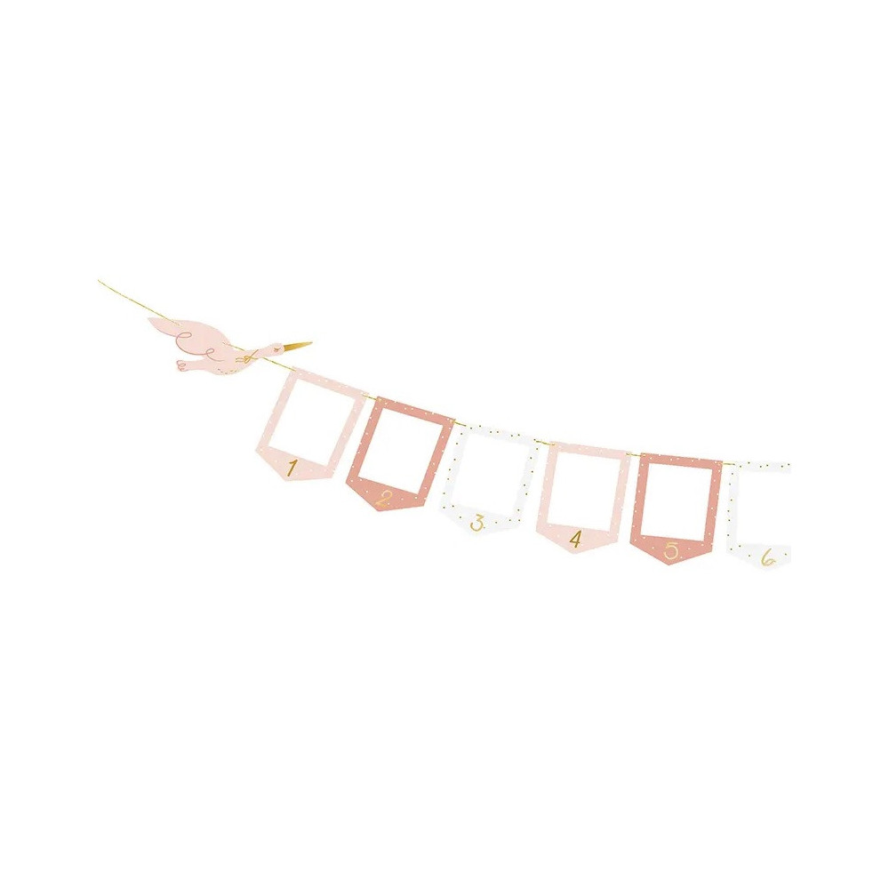 Photo frame Garland, Stork - pink, 15 cm x 3 m